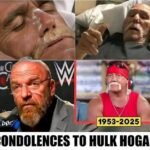 “Triple H” Levesque has officially confirmed the passing of wrestling icon Hulk Hogan.