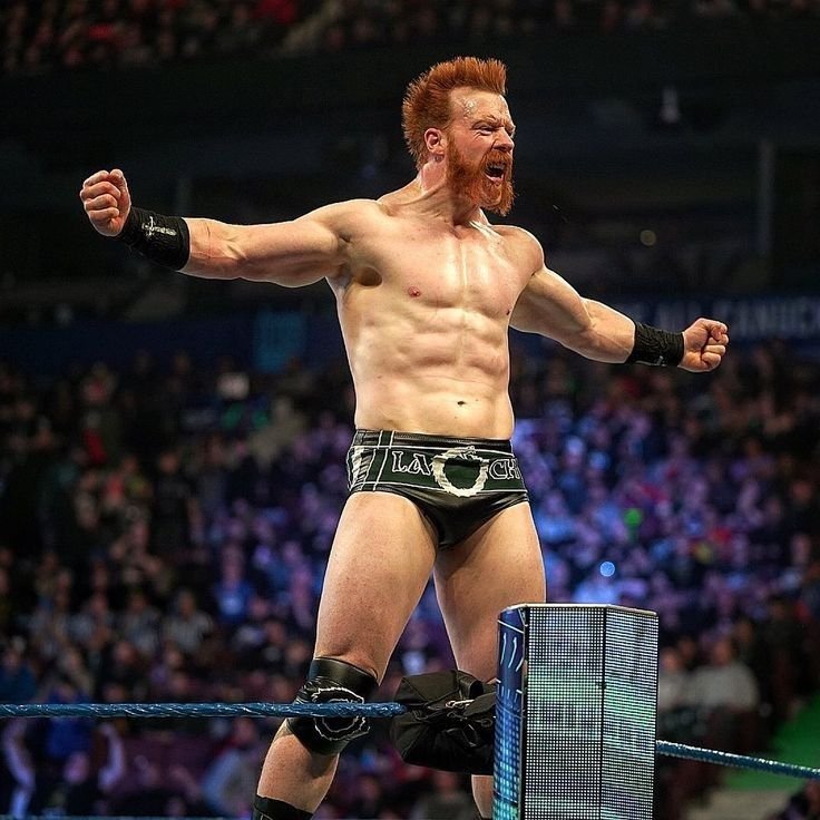 Sheamus may retire from WWE this year if one major thing happens