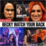 AJ Lee Speaks Out After Becky Lynch Strikes CM Punk