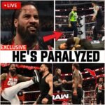 “BLOODLINE BETRAYAL‼️ Jimmy Uso Shocks the WWE Universe by Attacking Roman Reigns on RAW”