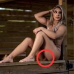 😱🔥 Shocking WWE Chaos! Thea Hail’s Wild Title Night Sends Fans Into Frenzy — What Really Happened! 💋💋💋