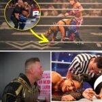💥 WWE’S BRUTAL BLOODBATH YEAR: 2025’s Most HORRIFIC Injuries That Nearly ENDED Legends’ Careers in Agony 😱